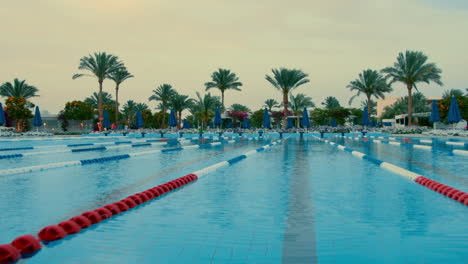 hermosa vista de la piscina cerca de las palmeras. charco al aire libre al atardecer.