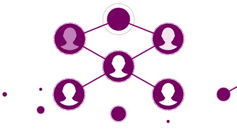 purple network of people connections