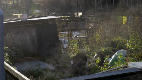 green neighbourhood gardens with early morning steam, slowmo, pan