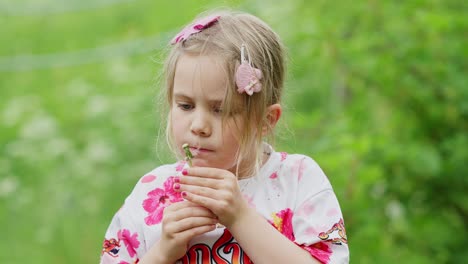 Cute-seven-year-old-caucasian-girl-blowing-dandelion-seeds-in-slow-motion