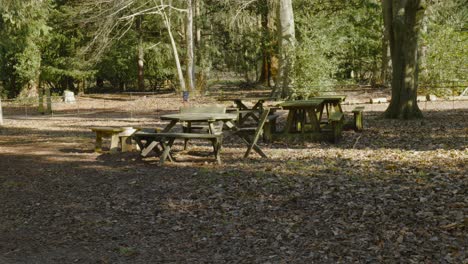 mesa de picnic y banco de madera en el bosque de parque público de campo de otoño