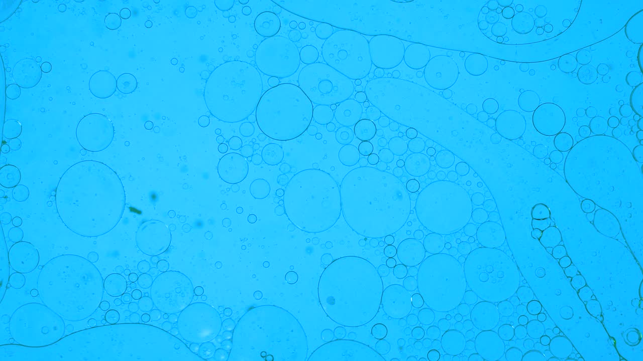 Colorful oil drops floating on water surface, top view. Fantastic abstract background. Bright bubbles moving and spreading. Close up 4k video of weird liquid structures. Scientific chemical experiment