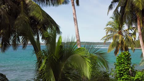 aerial crane shot of green palms in front of turquoise indonesian lagoon