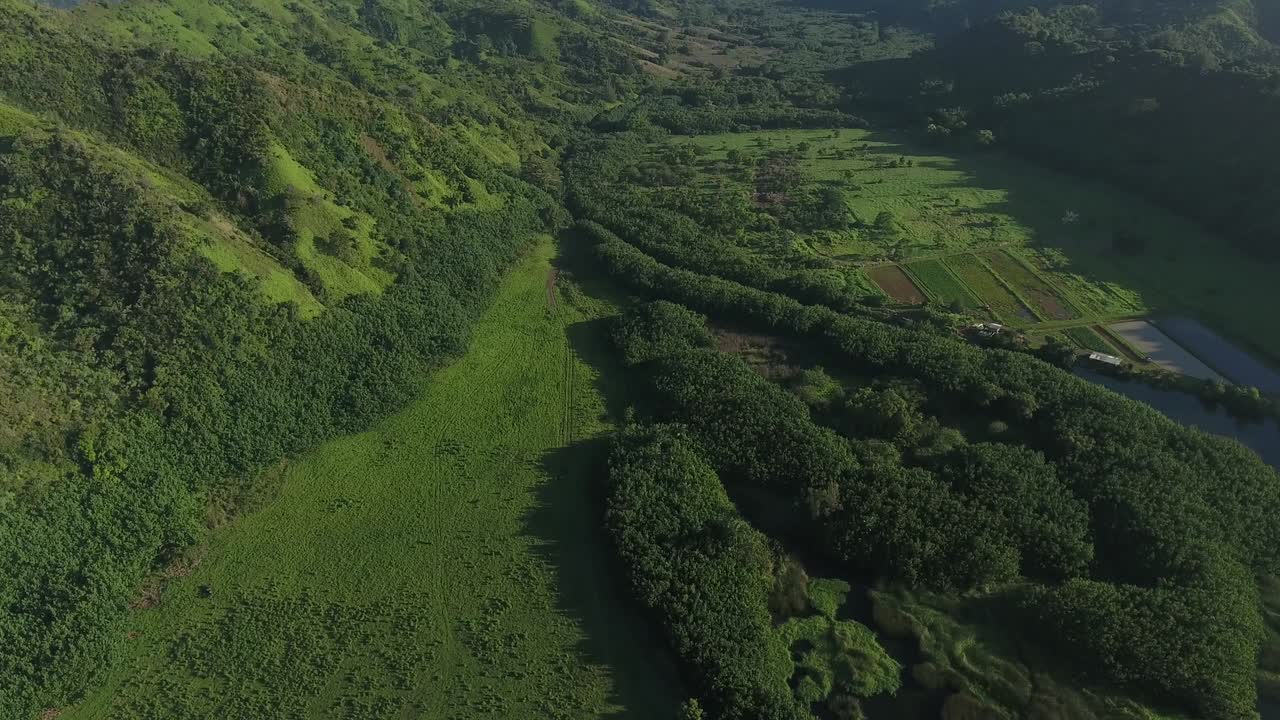 카우아이 하와이 산맥의 드론 풍경