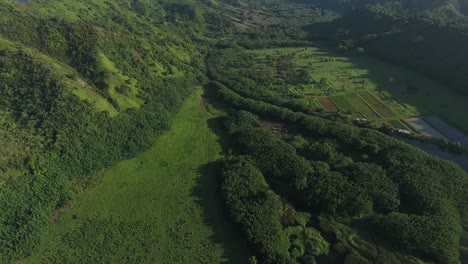 las montañas de kauai, hawai, vista aérea de un avión no tripulado