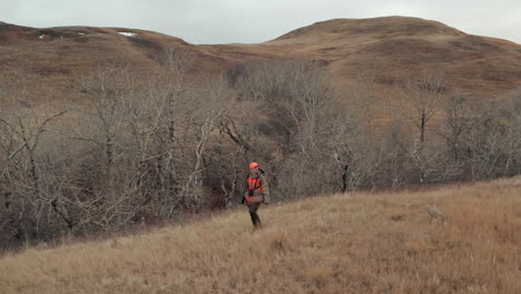 adult male hunter walking in prime hunting territory on saskatchewan prairie habitat- aerial follow drone shot