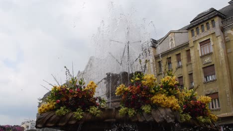 Timfloralis-2019---Das-Blumenfest,-Timisoara,-Rumänien