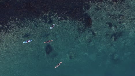 Kayakers-floating-around-in-clear-blue-water-of-Iceland,-Eskifjörður,-top-down