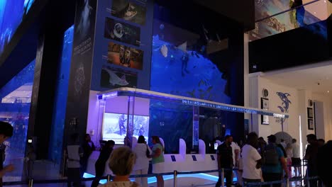 people observing marine life in large aquarium