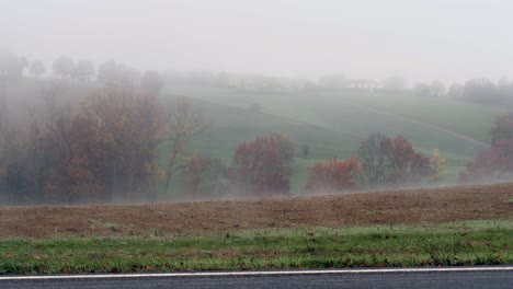 View-of-a-Rural-and-Countryside-Area-with-Fog