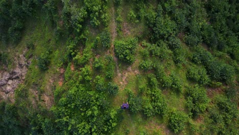 hombre viajero solo en aventura caminando por el sendero de la colina verde