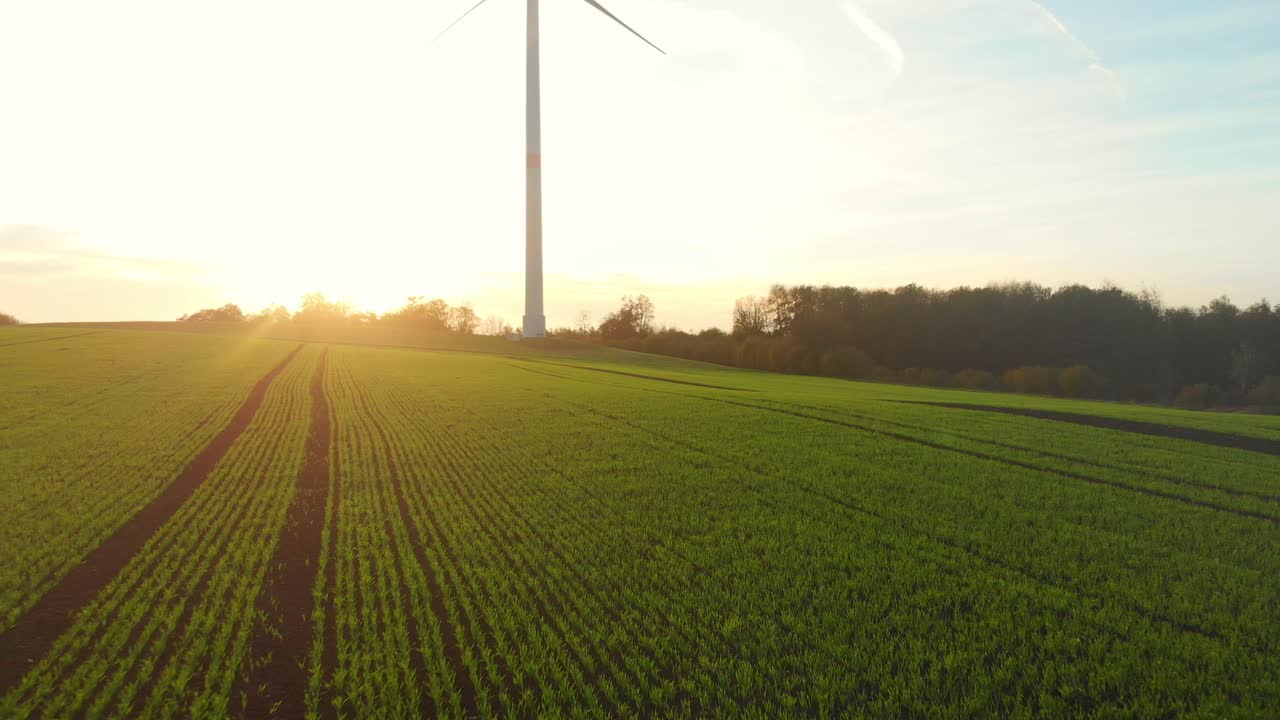 volo del drone su campi verdi con turbine eoliche all'alba