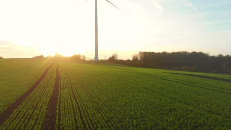 Drohnenflug-über-Grüne-Felder-Mit-Windrädern-In-Den-Sonnenaufgang