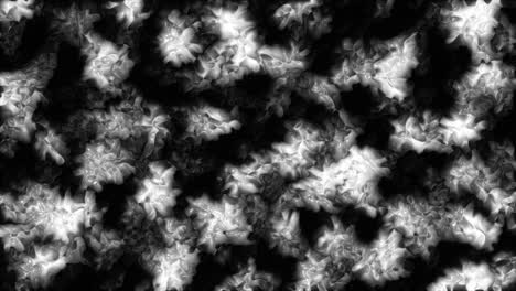 abstract black and white fluid pattern