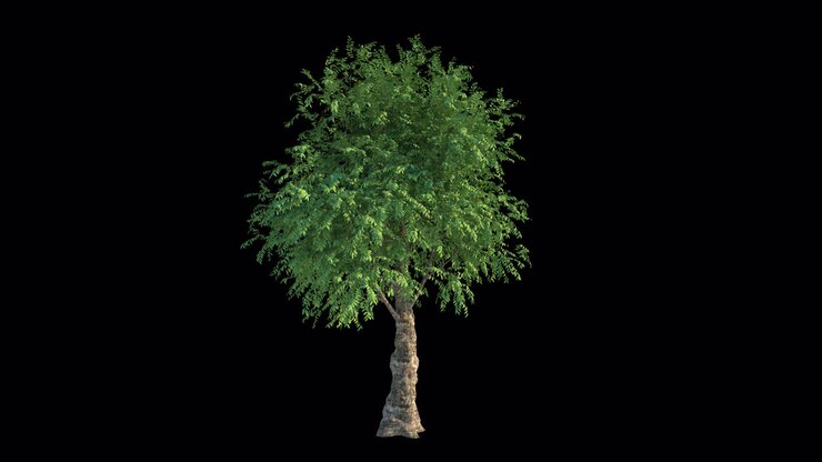 Albero verde isolato con foglie ondeggianti su canale alfa