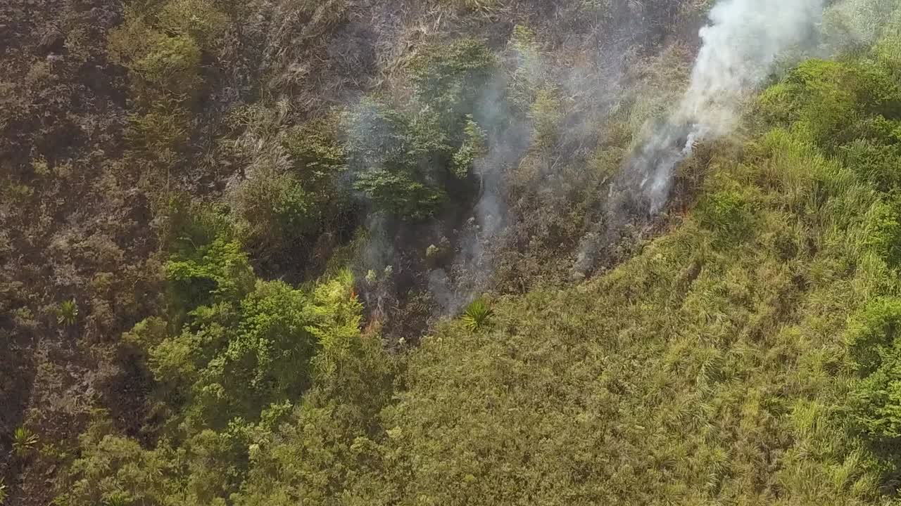 ataque de incendio provocado por un círculo aéreo contra la vegetación de la montaña