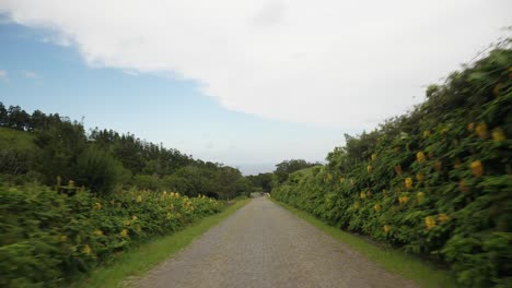 a shot of a road in the azores islands