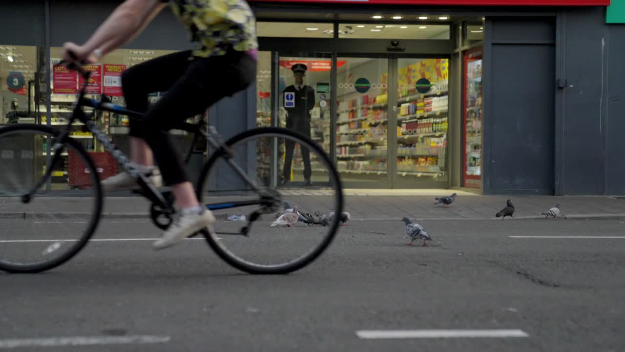 거리에서 비둘기 그룹, 자전거 타는 사람이 지나갑니다.
