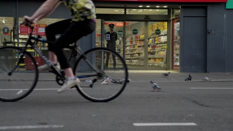 A-group-of-pigeons-in-the-street,-a-cyclist-passes-by