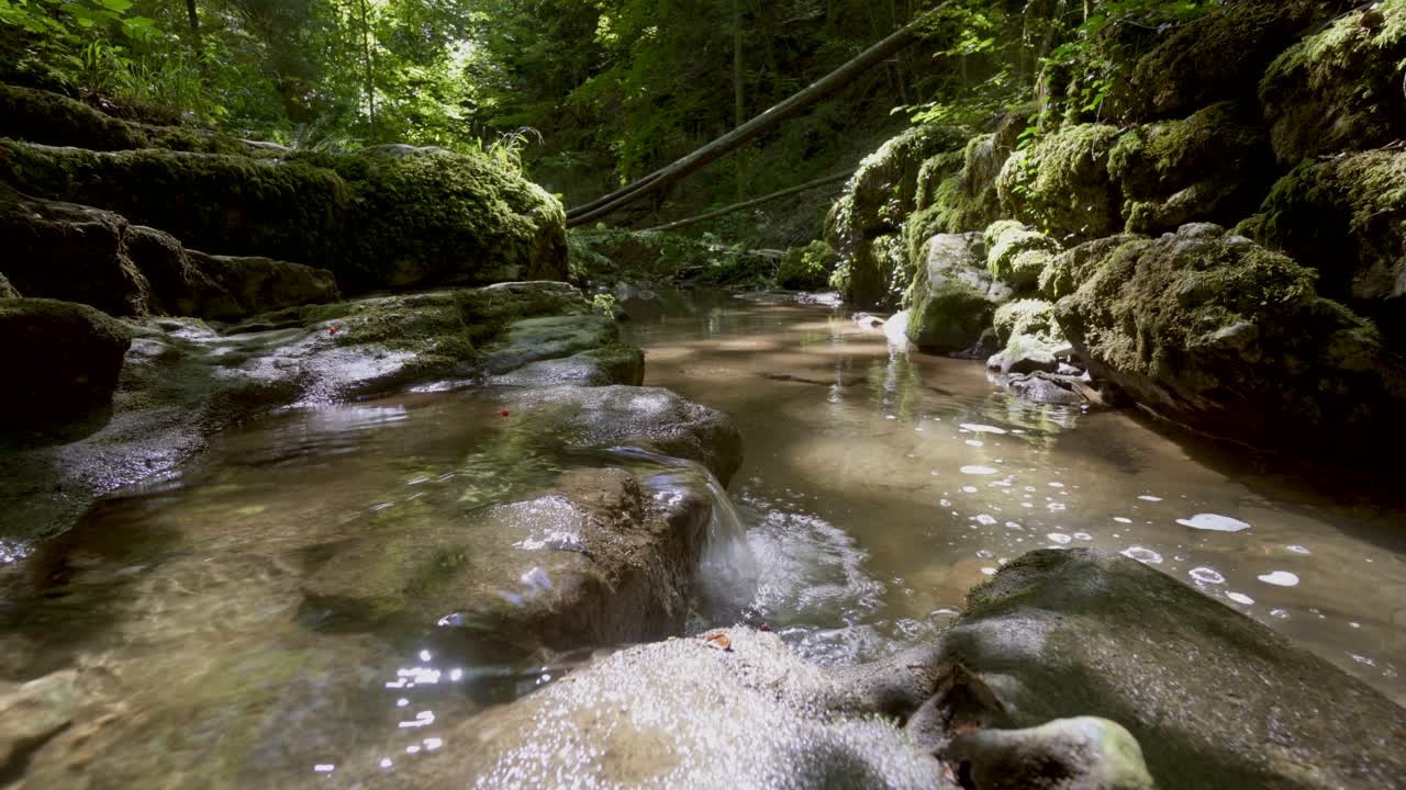 bella naturaleza rural tomada de un arroyo que fluye en la selva tropical durante el día soleado