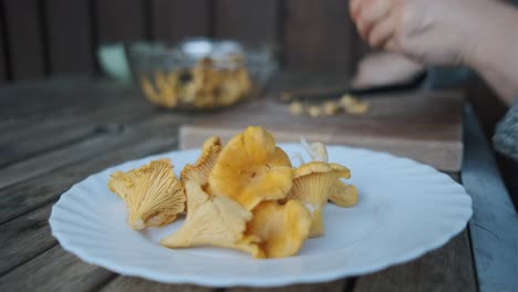 hongos de chanterelle dorados limpiados por manos femeninas, primer plano de hongos en el plato