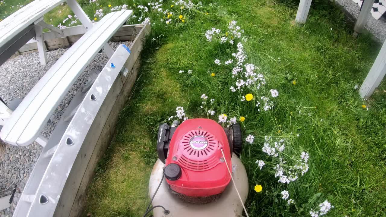 Lawn mover cutting tall grass and flowers in backyard