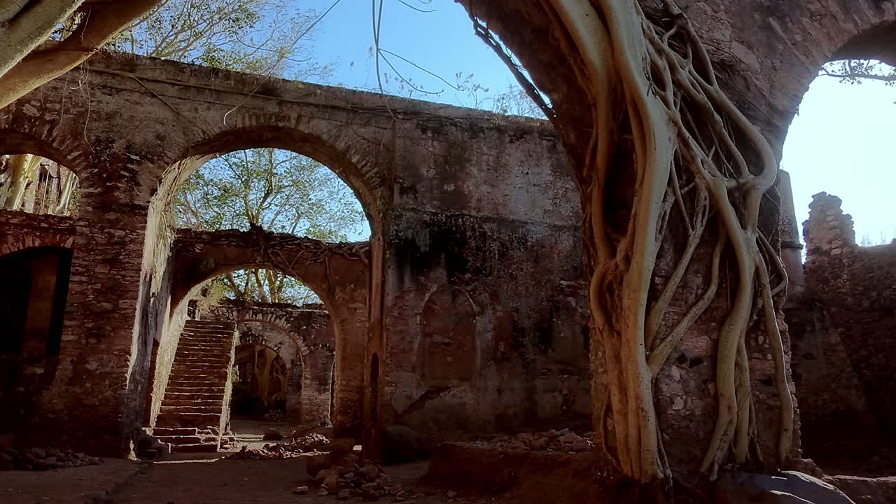 Old stone ruins with vines growing through arches at Hacienda Ixtoluca, Morelos Mexico