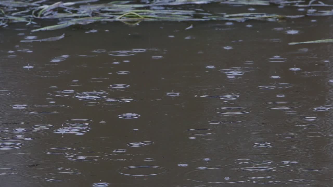 호수 표면 에 가운 비 가 내리고 있다