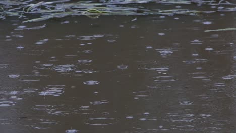 Leichter-Regen-Fällt-Auf-Die-Oberfläche-Des-Sees