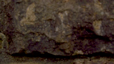 hd boom hasta más allá de la pared de piedra y el seto de color otoñal para revelar la casa vista en un acantilado en la distancia con vista al río columbia con cielo mayormente nublado toma dos