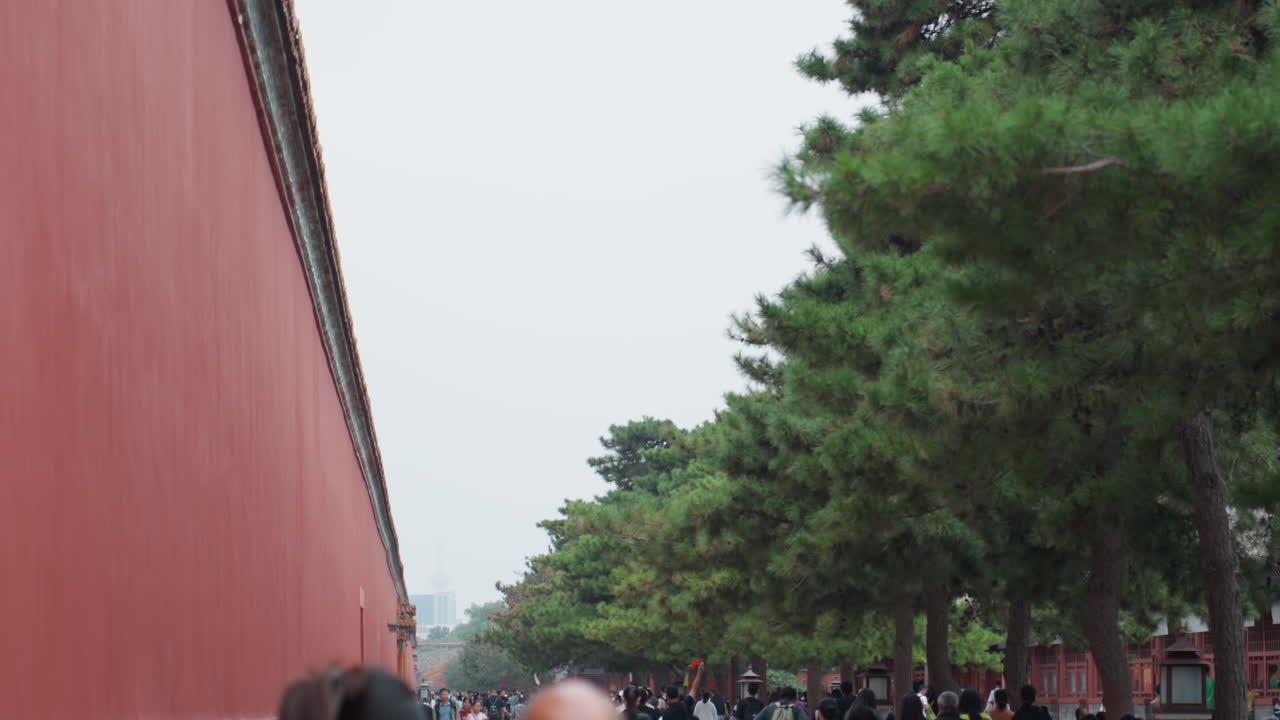 Turisti asiatici affollati accanto a un muro rosso, pini che costeggiano un'ampia passeggiata, famiglie e studenti che passeggiano, visite culturali, guide che conducono piccoli gruppi, fotografi che immortalano l'architettura