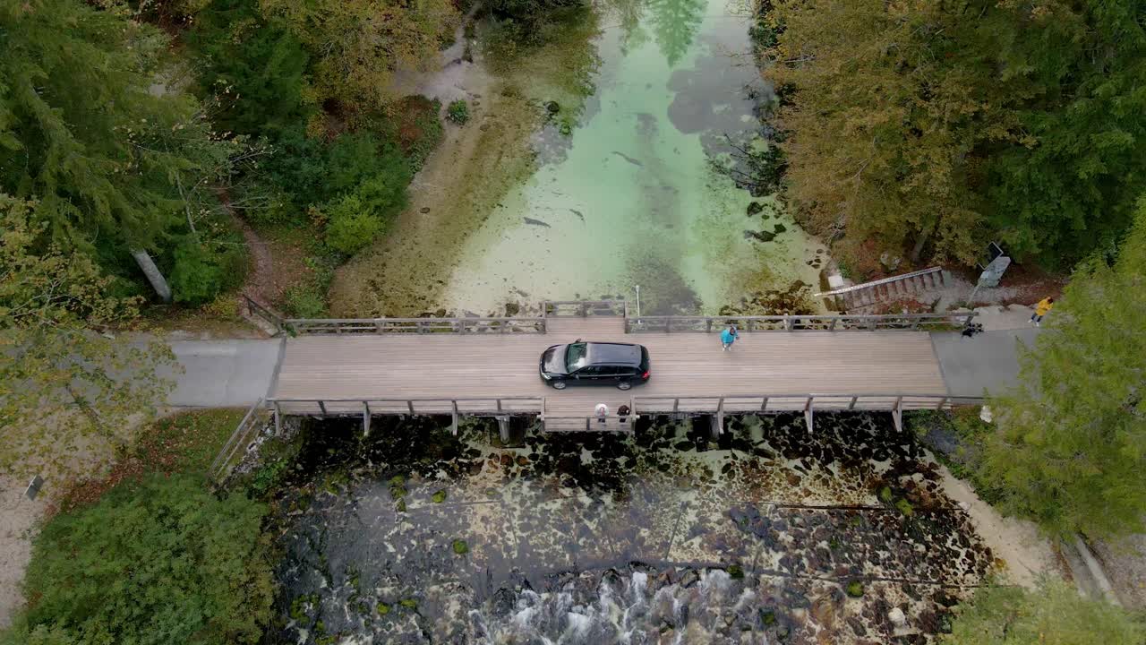 Ripresa aerea di alberi vivaci, fiume tranquillo e ponte a Ukanc, Bohinj, Slovenia