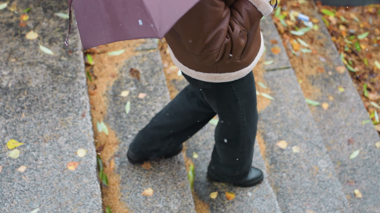 Student walking down stone steps during light snowfall with colorful autumn leaves, holding umbrella, wearing knit cap, brown shearling jacket, black trousers, casual winter fashion