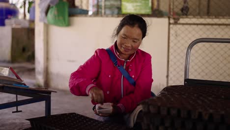 woman planting seeds in trays