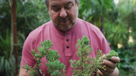 retrato de un jardinero caucásico que sostiene un árbol bonsai en el centro del jardín