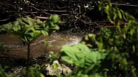 Water-flows-through-cracked-branches,-remnants-from-deforestation-clearing-of-landscape