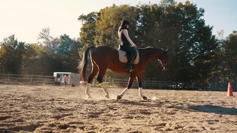 Beautiful-bay-trakehner-horse-walks-slowly-during-a-sunset-in-an-exterior-sand-arena-with-a-female-rider