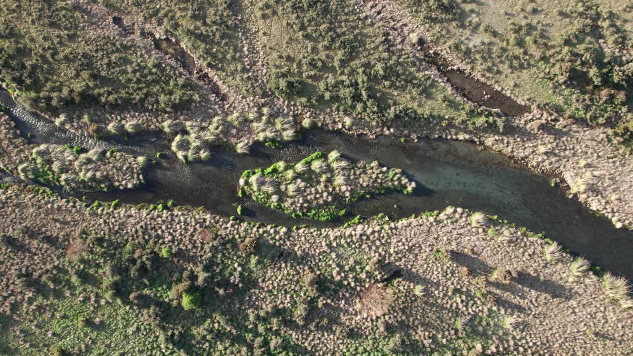 nuevo zelanda drones de río de hierba