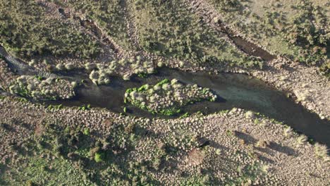 Drone-De-Río-Cubierto-De-Hierba-De-Nueva-Zelanda