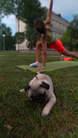 mujer practicando yoga al aire libre en un parque con su pug