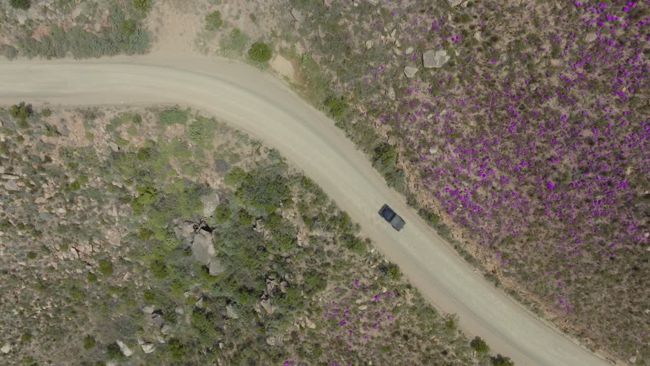 드론이 새의 눈으로 날아다니며 세데르베르크 야생 지역의 도로 위에서 남아프리카 공화국 - 도로에서 운전하는 오프 로드 차량의 시각 - 풍경은 매우 바위입니다.