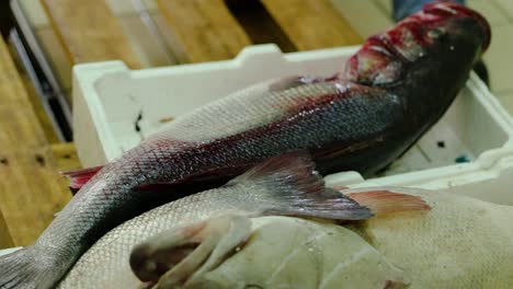 fish monger places styrofoam crate with large black and grey fish on wooden pallet