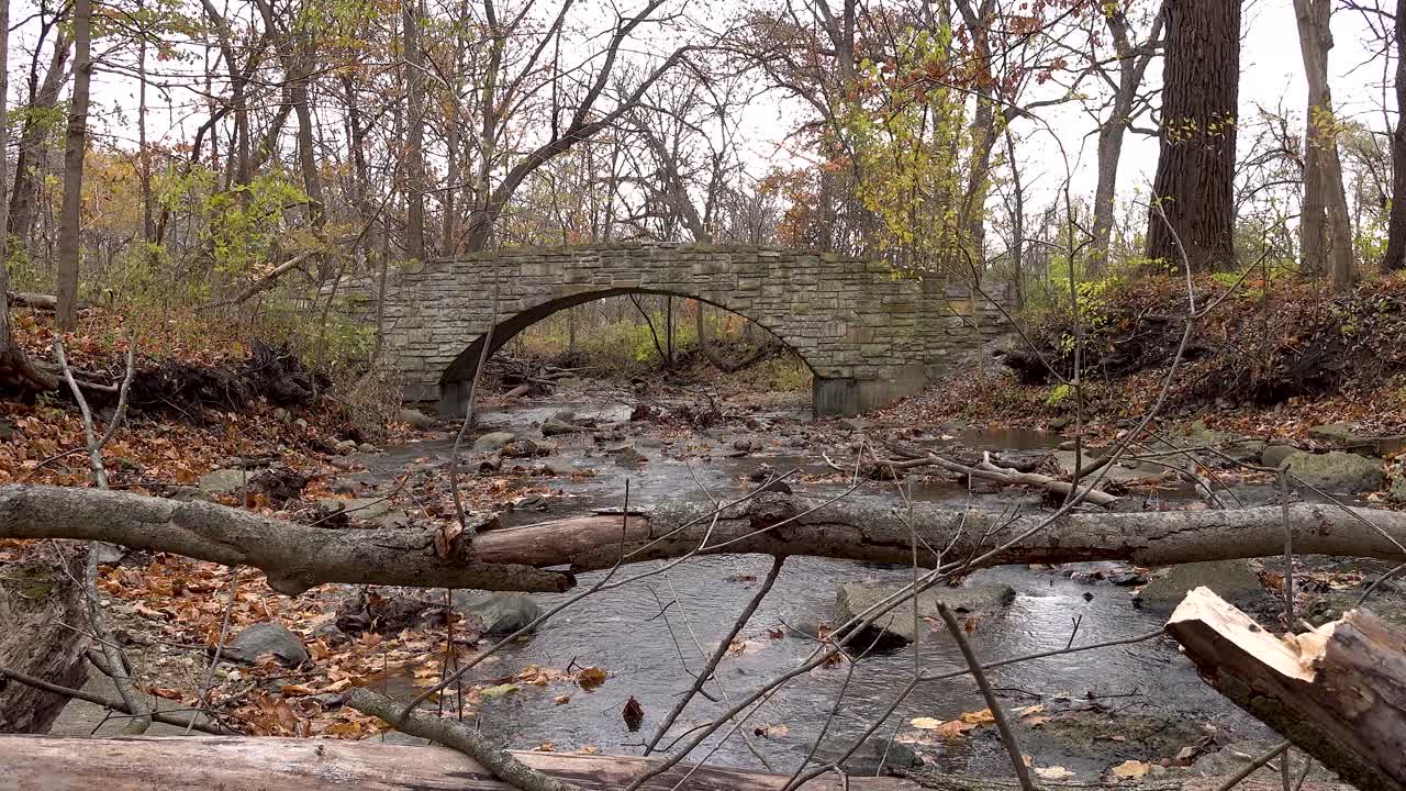 pequeño arroyo en el bosque y puente de piedra con hojas de otoño