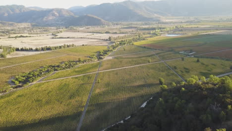 Bodega-En-El-Valle-De-Colchágua,-Chile