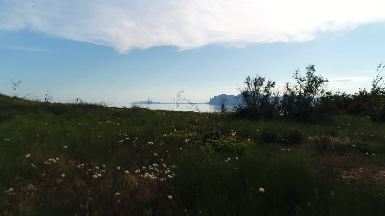 paisaje de prados costeros