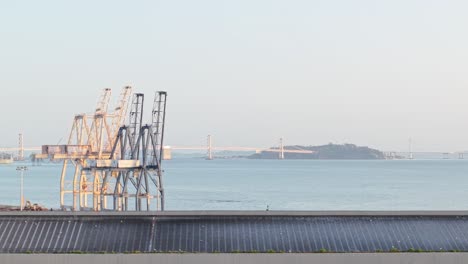 peaceful waters and earthy trails define heron’s head park, contrasting india basin’s industrial waterfront nearby.