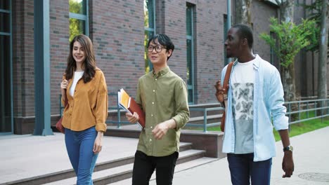 caucasian, asian and african american students talking and laughing while walking down the street near the college