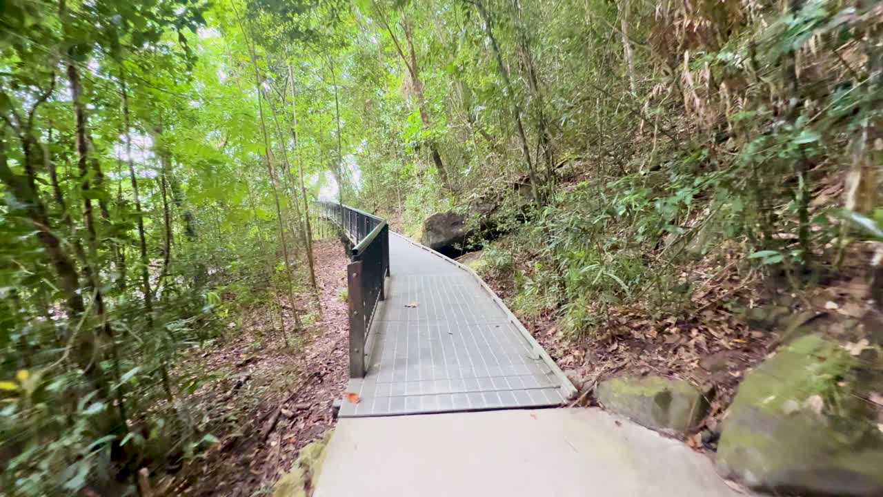 Smooth camera movement along rainforest boardwalk, lush greenery, natural daylight, tranquil atmosphere, wide perspective