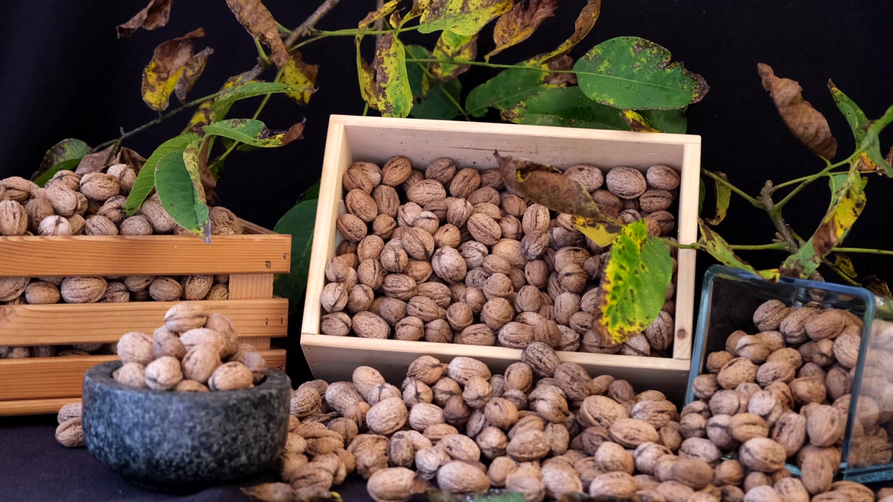 Scatole di noci su sfondo nero evidenziano i dettagli intricati dei loro gusci testurizzati, enfatizzando la loro bellezza naturale e i ricchi motivi organici.