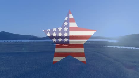 animation of red, white and blue circles and american flag star over beach and sunny sky